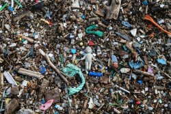 Microscopic plastic levels far higher in those who suffer strokes, study finds