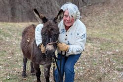 Missing donkey found two days after fleeing bear in Massachusetts