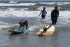Pawesome pooches shred the waves at Florida dog surfing festival