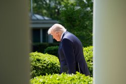 Trump unsure if immigrants have constitutional right to due process