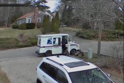 Wild turkeys chase mail carrier out of Massachusetts neighborhood